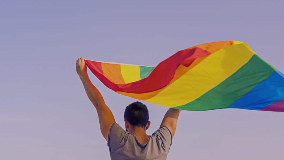 _YouTube Thumbnail Photos (1280 × 720 px) (960 × 540 px) (27) LGBTQIA2S+ defendants pride flag