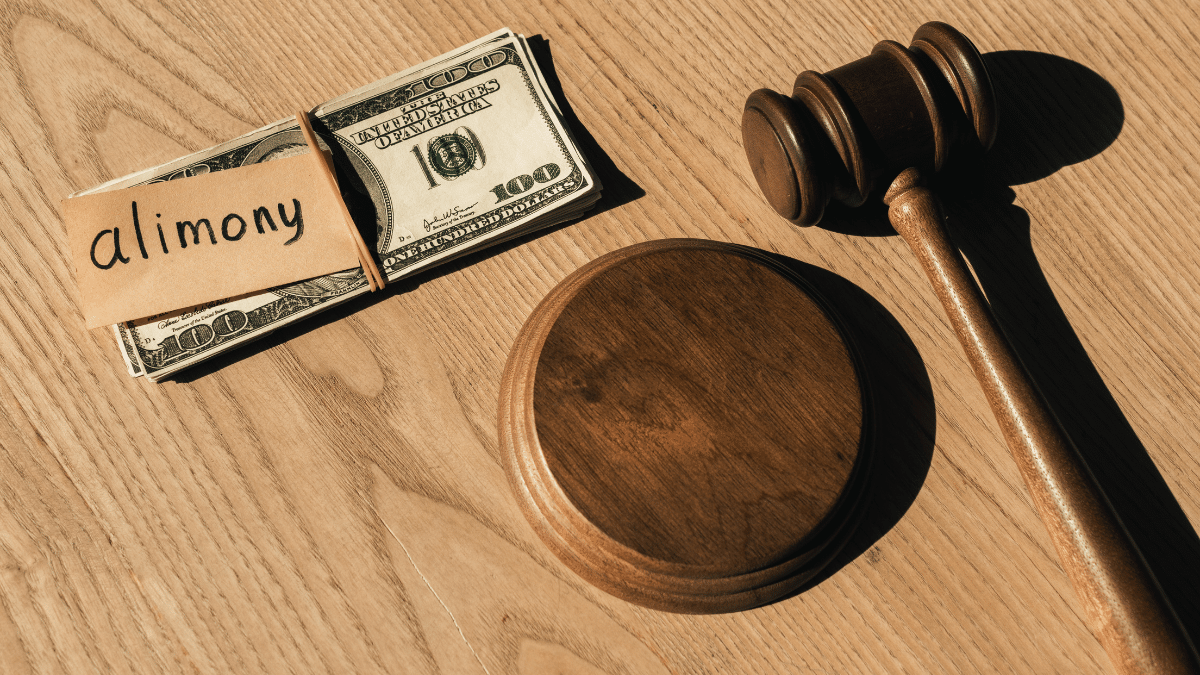 204 surveillance investigations for alimony disputes