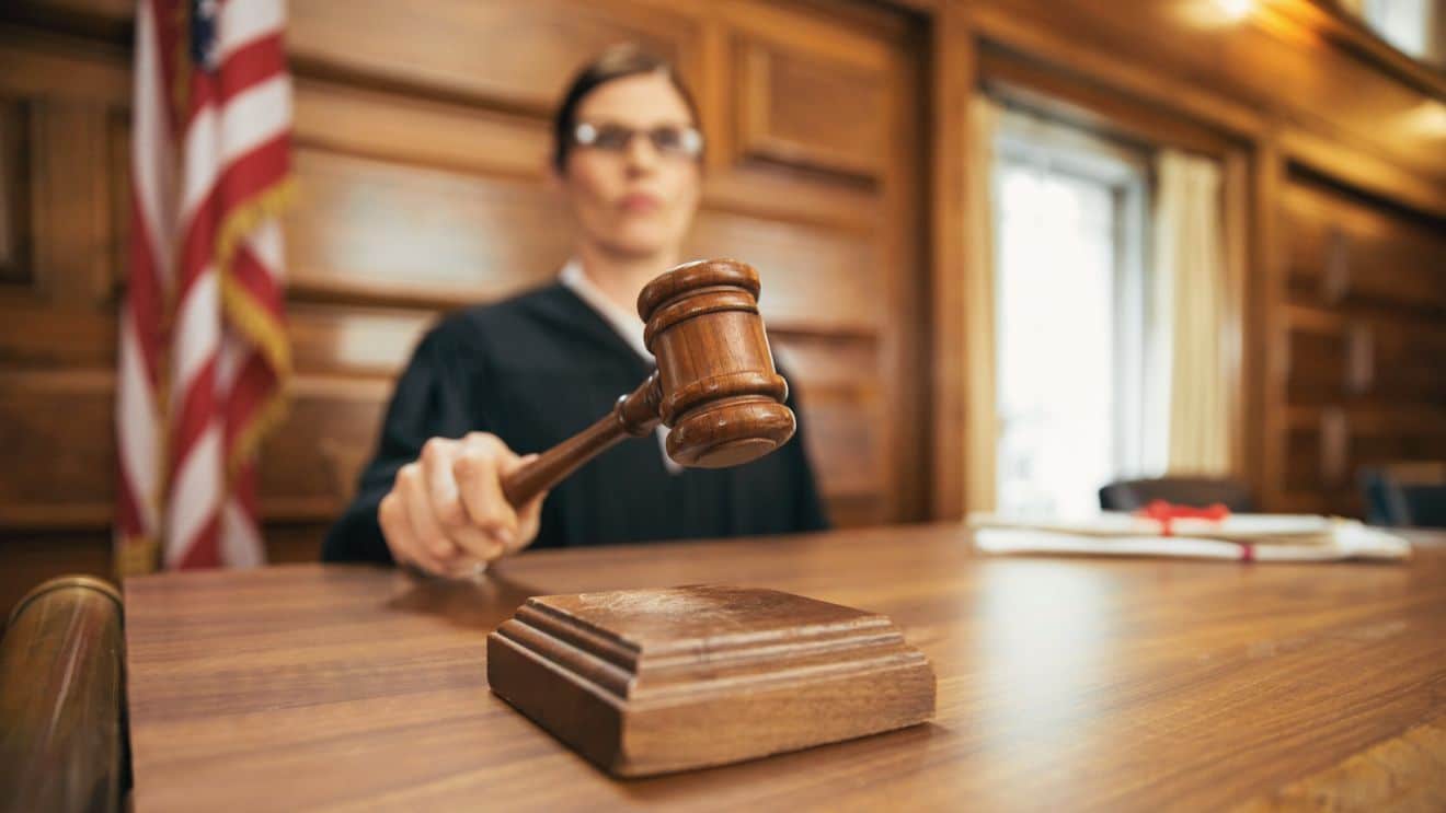221 reliable background check case search