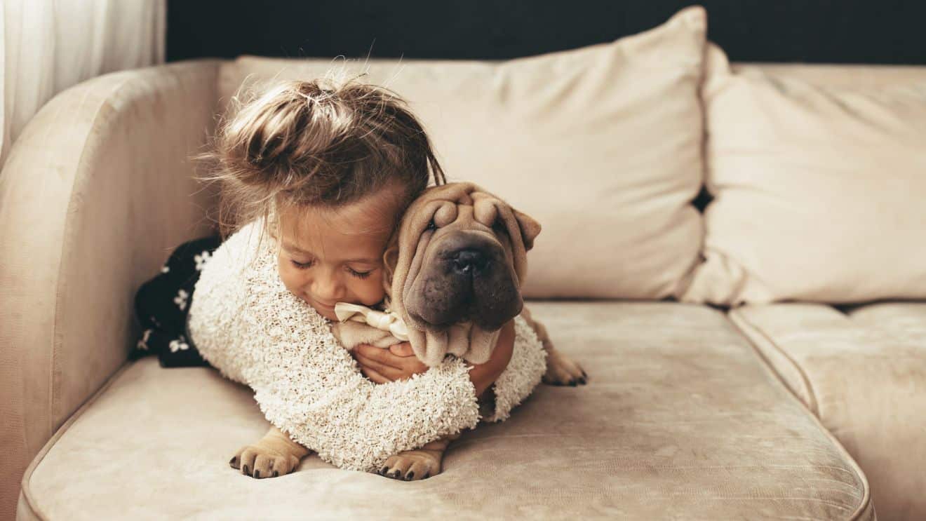 190 dog bite prevention, child smothering dog
