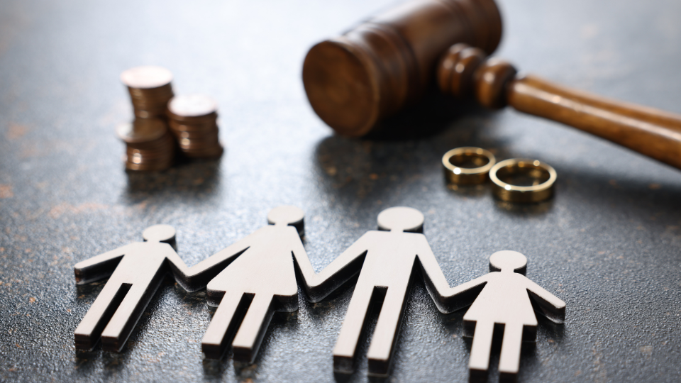 alimony investigation sacramento